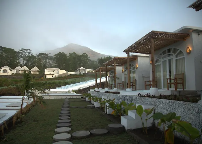 Cinze And Hot Spring